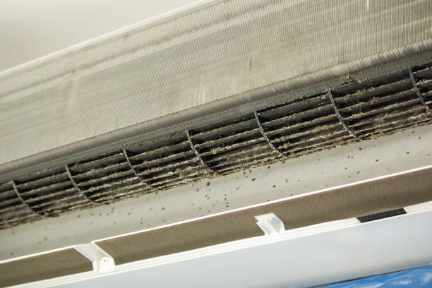 Best Emergency Air Duct Cleaning  in Magee, MS