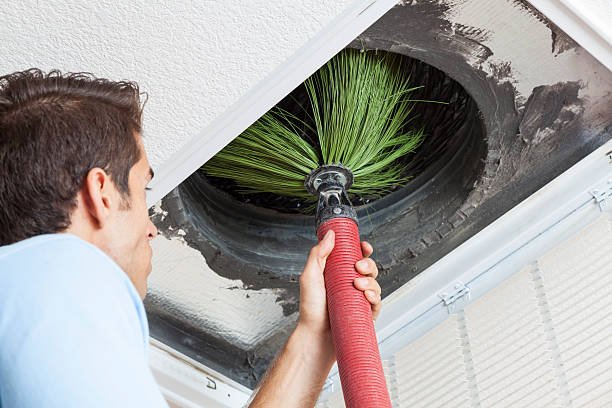 Best Air Duct Mold Removal  in Magee, MS